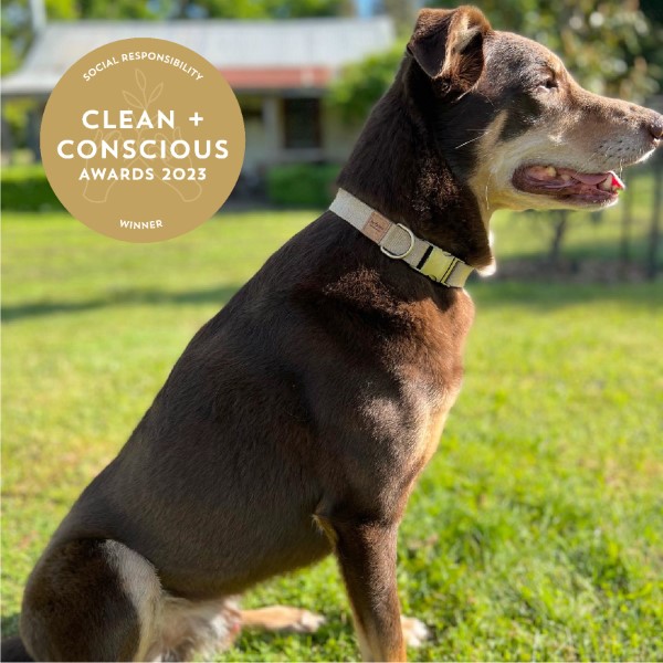 Clean + Conscious Social Responsibility Award 2023 Bohemi Handcrafted