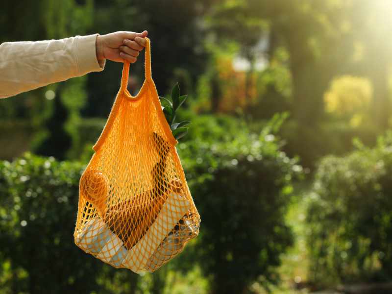 Save 50% on finalist products of the Clean + COnscious Awards 2024