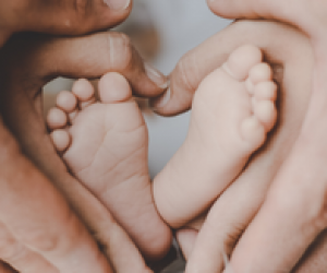 baby category 2022